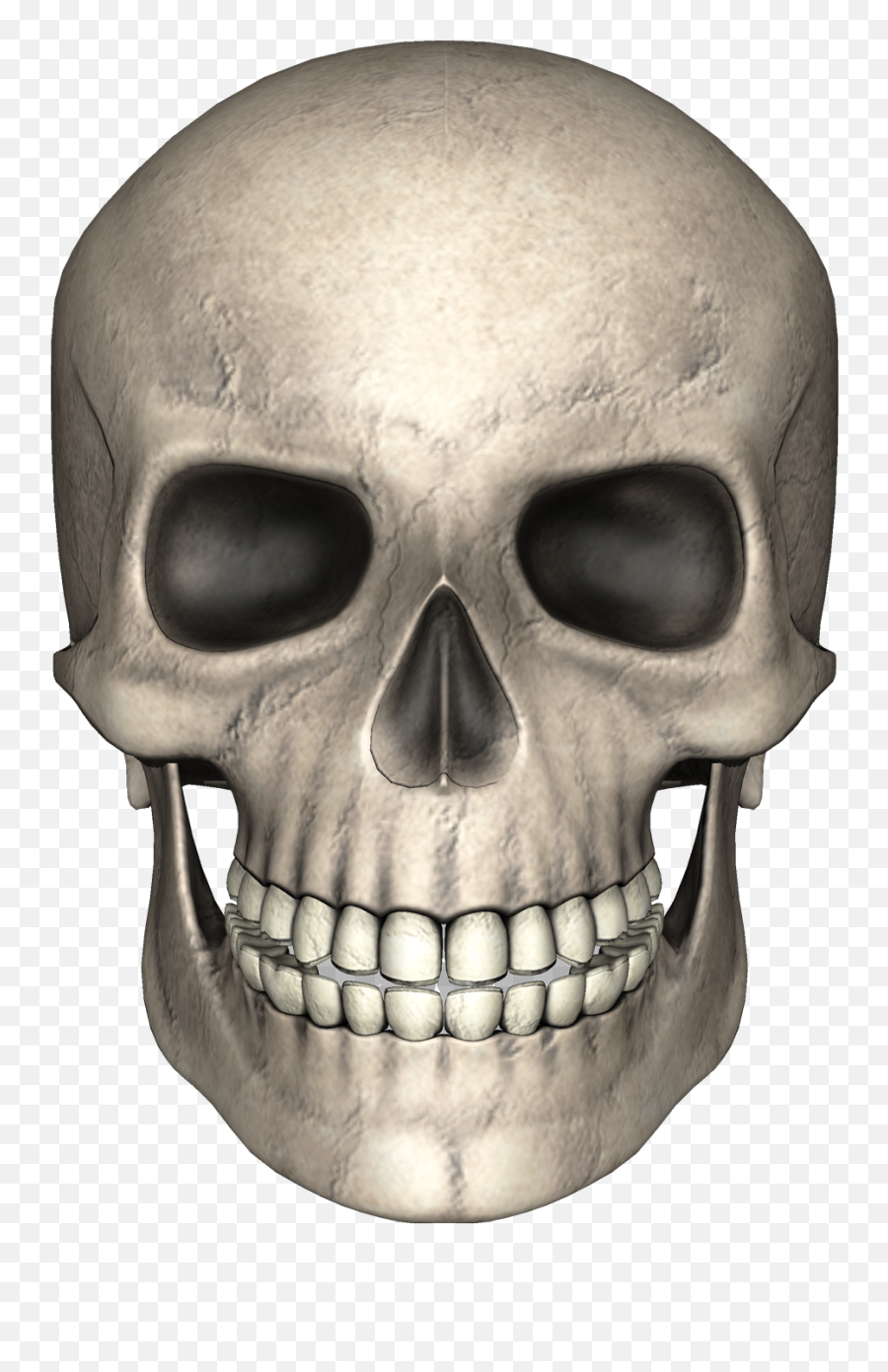 Skull Bones Png Free Download - Skull Png Hd,Bones Png