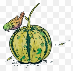 Veganism U2014 Jarry Briefs - Gourd png