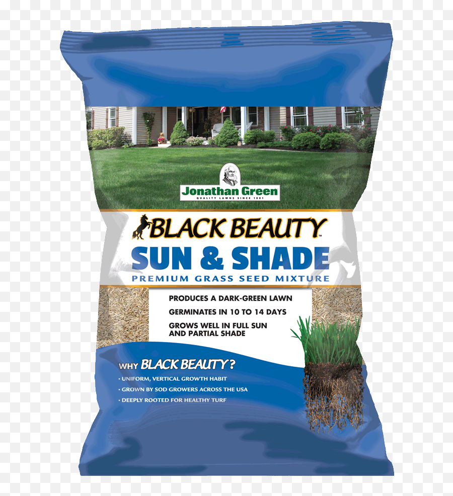 Black Beauty Sun U0026 Shade Grass Seed - Dense Shade Grass Seed Png,Dead Grass Png