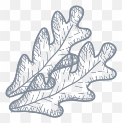 Home Dons Subs - Sketch png