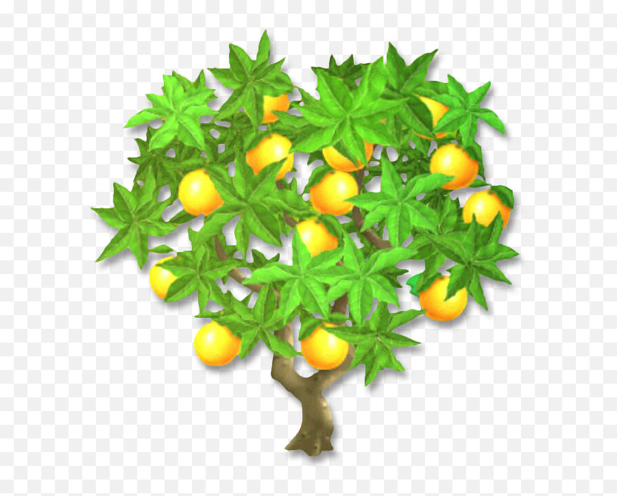 Orange Tree S 960x720 V70 8005 Kb Png