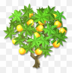 Orange Tree S 960x720 V70 8005 Kb Png