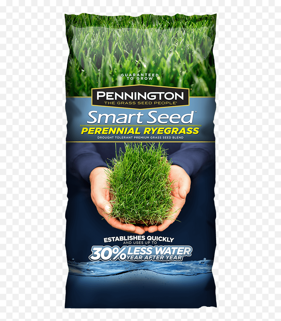 Premium Grass Seed For Home Lawns Pennington - Penn State Grass Seed Png,Grasses Png