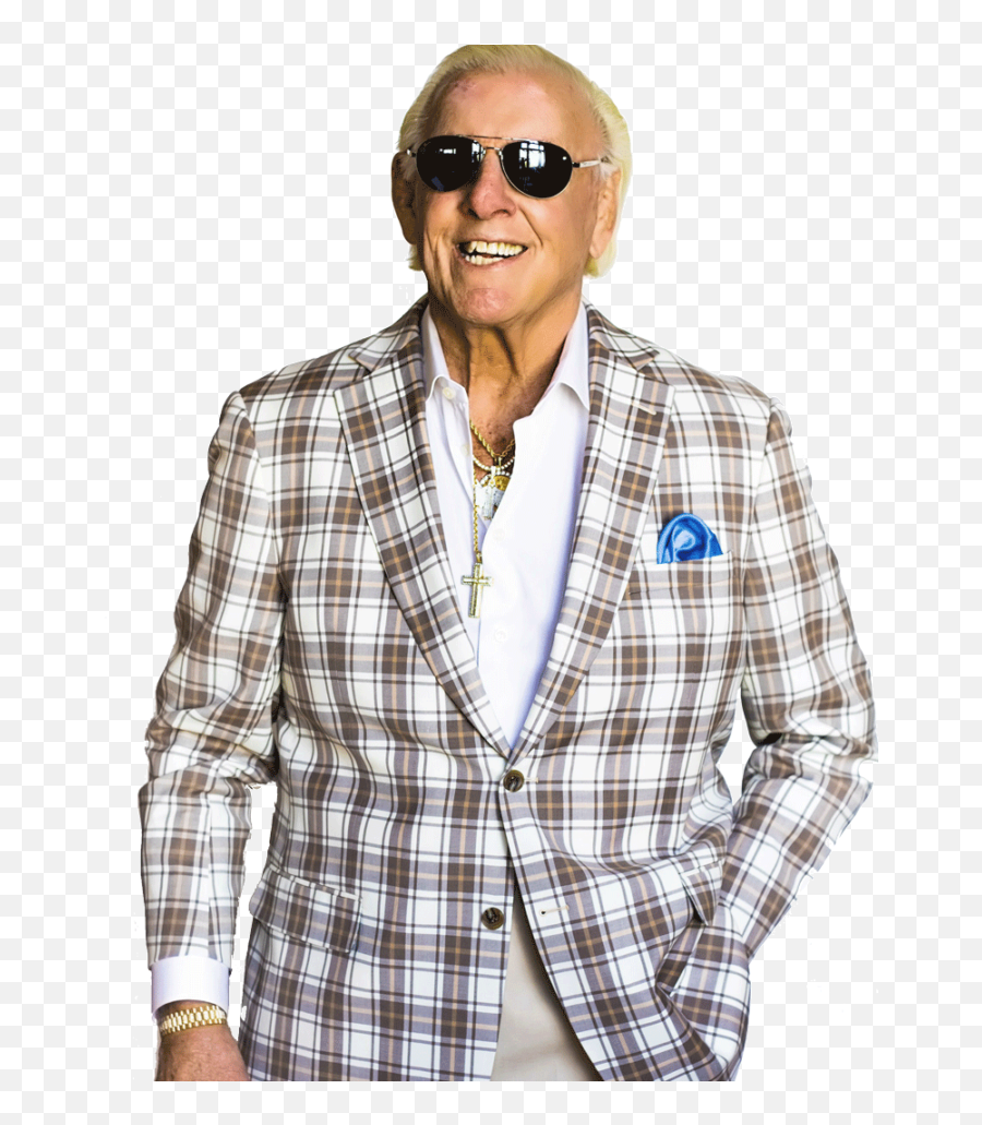 Download Ric Flair Suit Png Image With No Background - Ric Flair Png,Suit Transparent Background