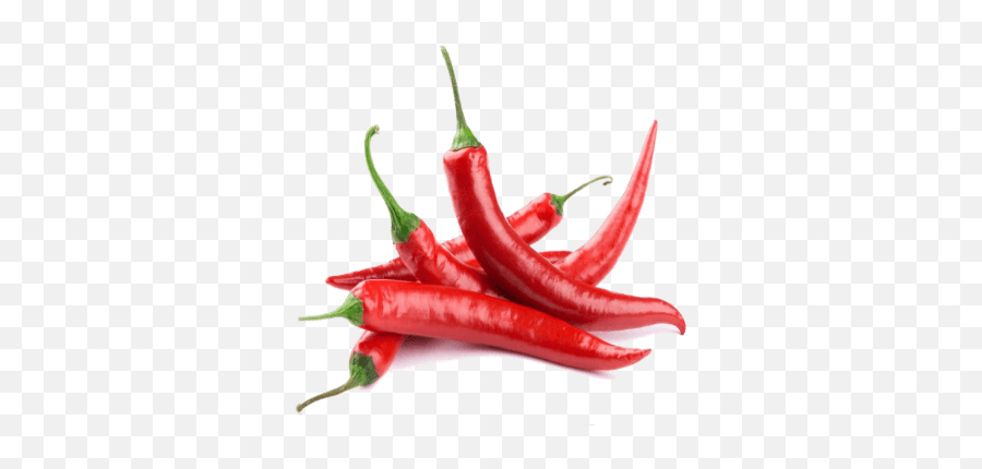 Download Hot Chilli - Chili Pepper Vs Cayenne Pepper Png Red Chili,Pepper Png
