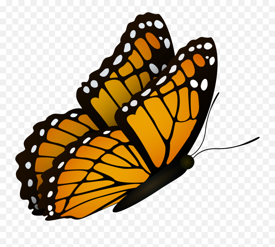 Flying Monarch Butterfly Clipart Png