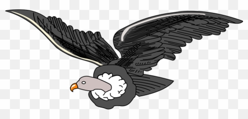 Andean Animal Bird - Free Vector Graphic On Pixabay Ecuador Coat Of Arms Png,Vulture Png