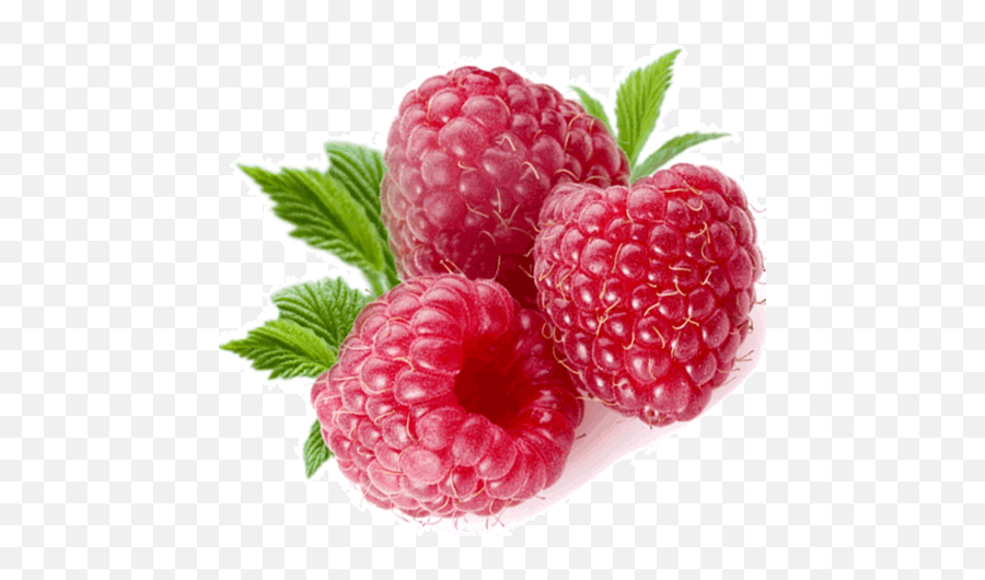 Raspberry Png Images Free Pictures Download - Transparent Background Raspberry Png,Raspberries Png