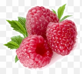 Raspberry Png Images Free Pictures Download - Transparent Background Raspberry Png,Raspberries Png