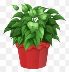 Flower Pot Transparent Png Clipart
