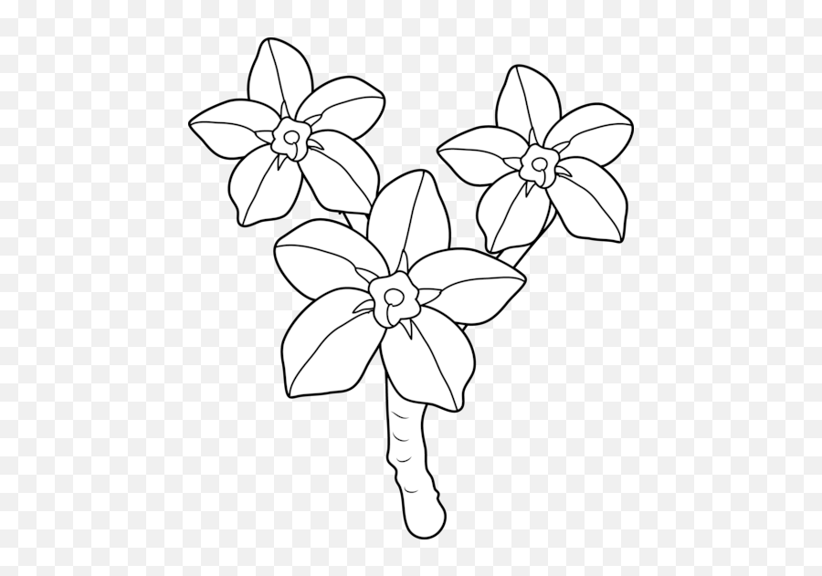 Forget Me Not Coloring Page - Forget Me Not Flower Coloring Page Png,Forget Me Not Png
