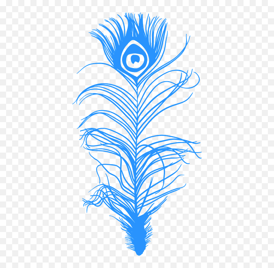 Peacock Feather Silhouette - Free Vector Silhouettes Creazilla Pena De Pavão Vetor Png,Feather Silhouette Png