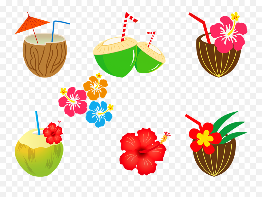 Coconut Cocktail Alcohol Hibiscus - Coquetel De Coco Png Desenho,Coco Png