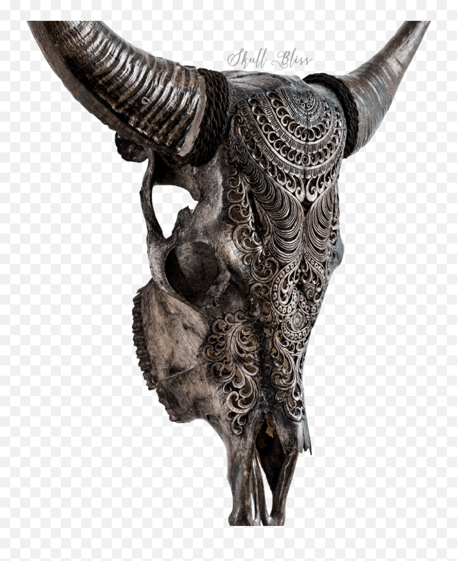 Cow Skull - Horn Png,Cow Skull Png