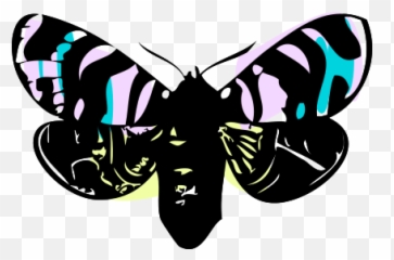 Free Butterfly Png With Transparent Background - Arctia