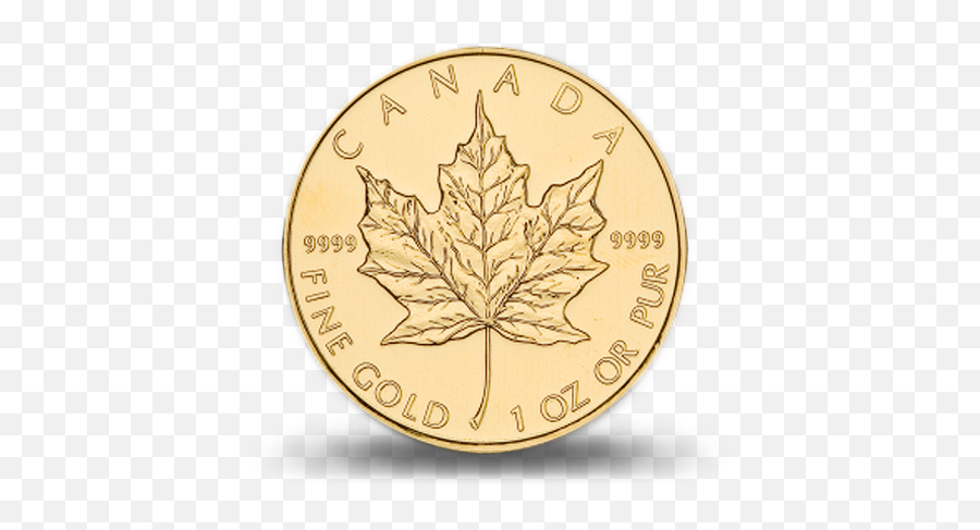 Download Hd Canadian Gold Maple - Canadian Gold Maple Leaf Png,Canadian Leaf Png
