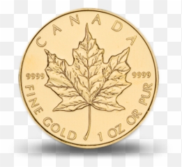 Download Hd Canadian Gold Maple - Leaf png