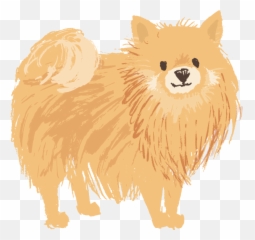 Pomeranian Png Image With No Background - Pomeranian Png,Pomeranian Png