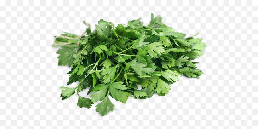 Arugula Leaves Png Image All - Water Celery,Parsley Png