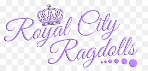 Royal City Ragdolls - Sisters Png,Ragdoll Logos