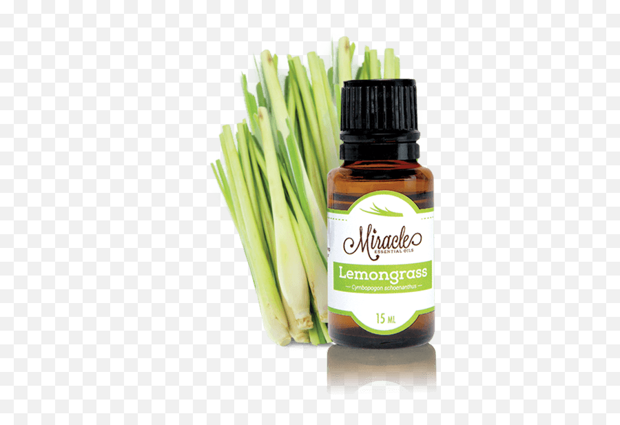 Download Hd Store Lemongrass Miracle Essential Oils - Lemongrass Oil Transparent Background Png,Essential Oils Png