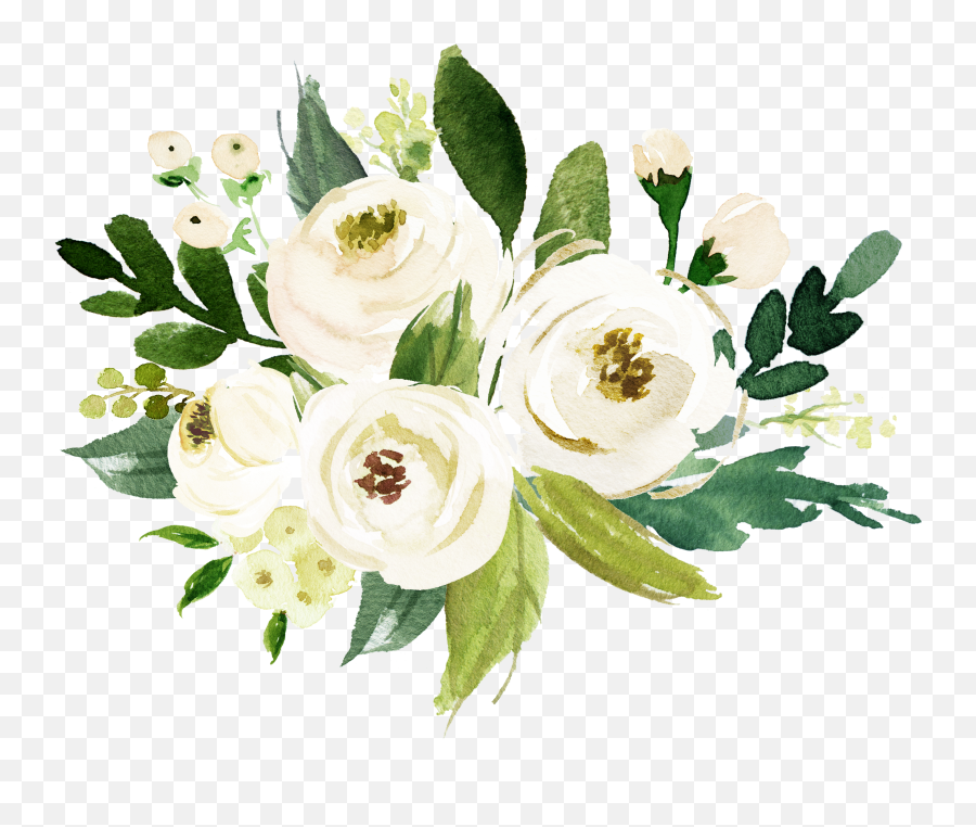 Watercolor Flowers Flower - Transparent White Watercolor Flowers Png,Watercolor Rose Png