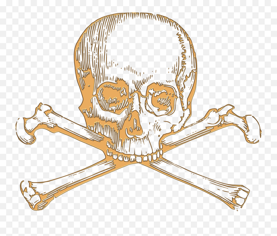 Png Skull - Skull And Crossbone Drawing,Free Pngs For Commercial Use