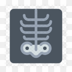 X - ray Icon Art png