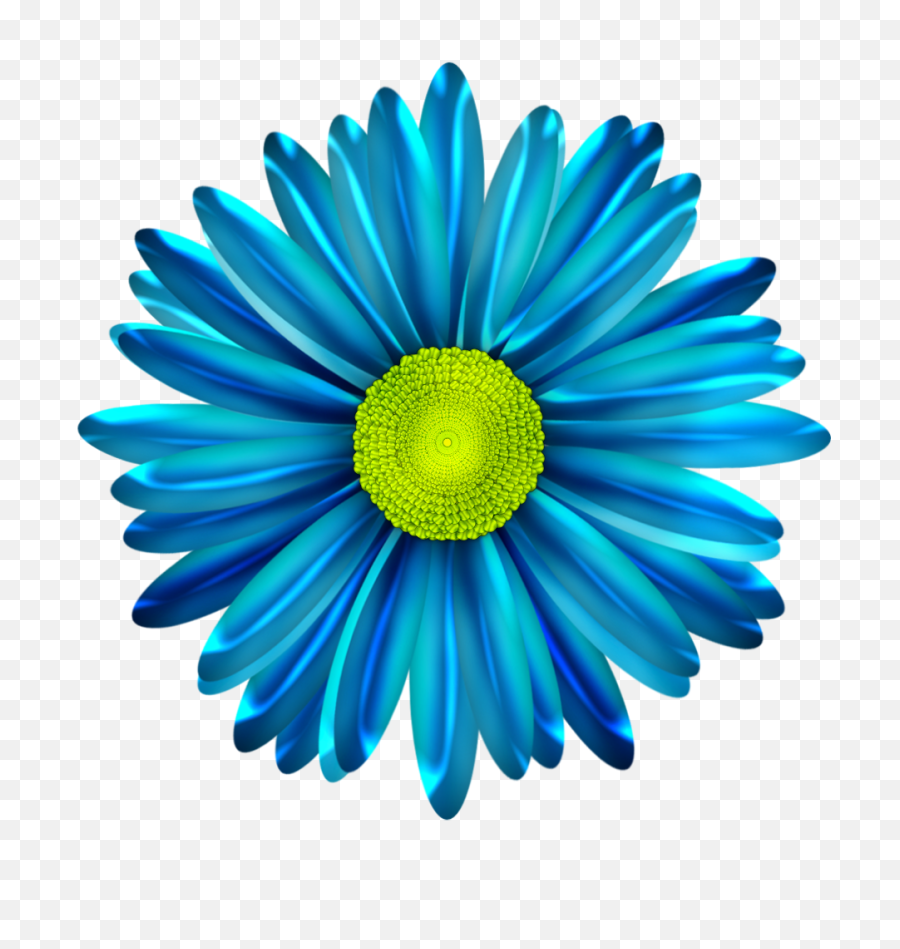Blue Daisy Flower Png Transparent - Blue Daisy Flower Png,Blue Flowers Png