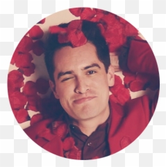 For - hoellands Album on Imgur Art png