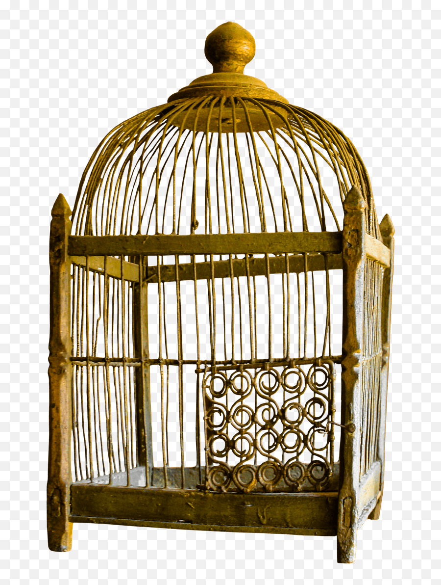 Golden Cage Png Transparent Background - Golden Bird Cage Transparent Background,Cage Png