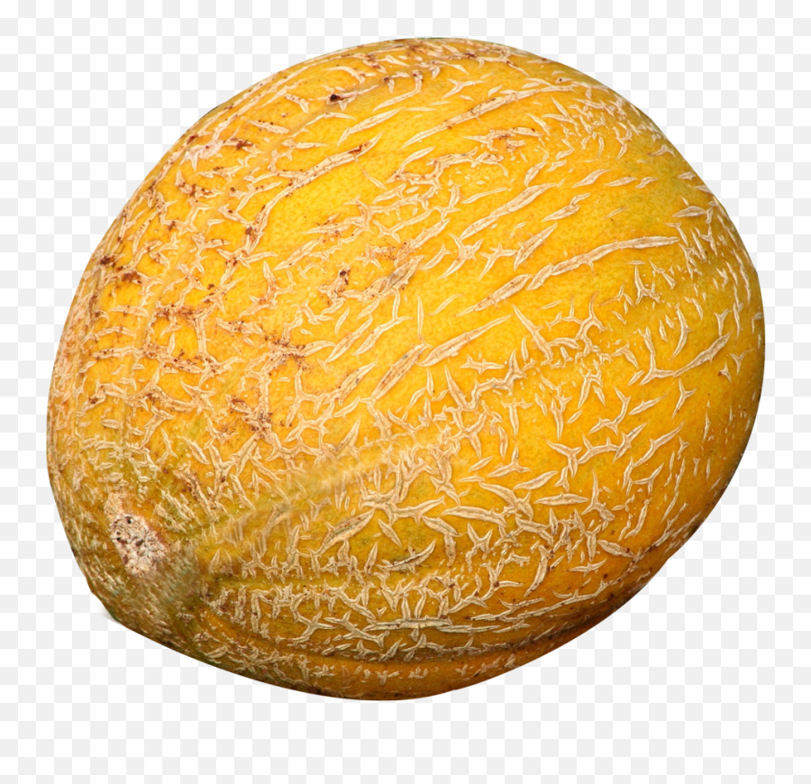 Download Melon Png Image For Free - Cantaloupe,Cantaloupe Png