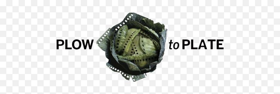 Past Events Plow To Plate Films - Cabbage Head Png,Icon Cinema $4 Movie