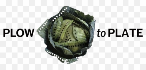 Past Events Plow To Plate Films - Cabbage Head png