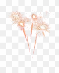 Fireworks Png - Transparent Background Hd