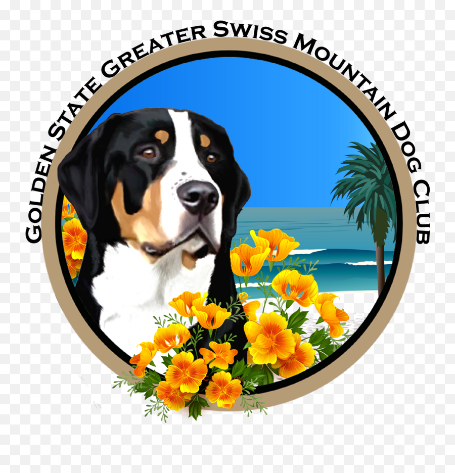 News Golden State Greater Swiss Mountain Dog Club - Bernese Mountain Dog Png,How To Get Golden Draven Icon