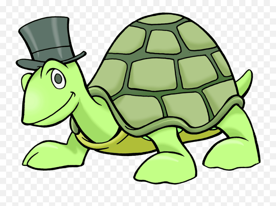 Clip Art Of A Turtle - Turtle Cliparts Png,Cute Turtle Png