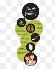 Gluten Free Non - From Food Certifications png