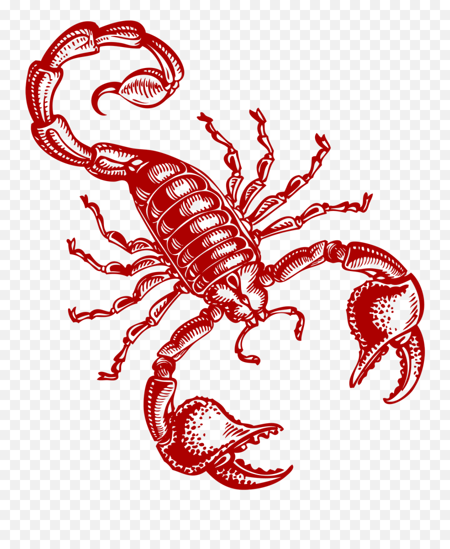 Thought Of The Week Power Mind Blogs - Scorpion Png,Scorpions Icon
