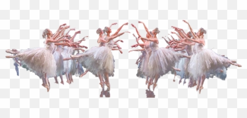 Ballet Swan Lake Png Download Image Arts - Turkey,Swan Png