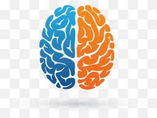 Brain Png - Metastatic Vs Primary Cancer