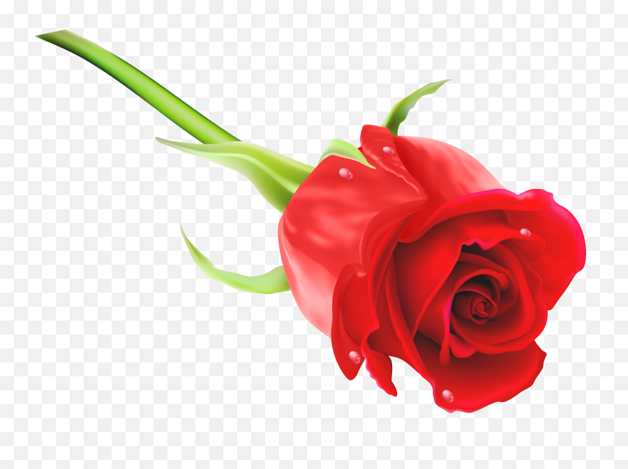 Red Rose Png Clip Art Imageu200b - Rose Png Full Hd,Red Rose Png