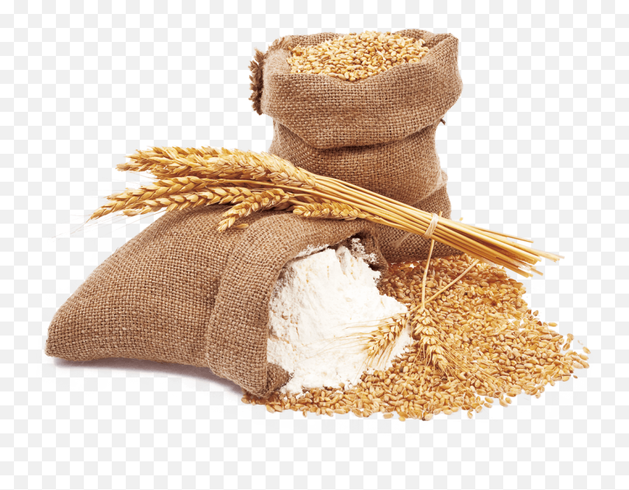 Wheat Flour - Transparent Wheat Flour Png,Flour Png