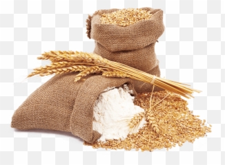 Wheat Flour - Transparent Wheat Flour Png,Flour Png
