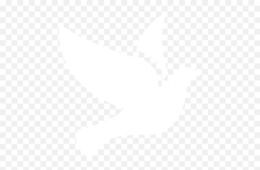 White Bird 2 Icon - Free White Bird Icons Bird Icon White Png,Bird Png Transparent