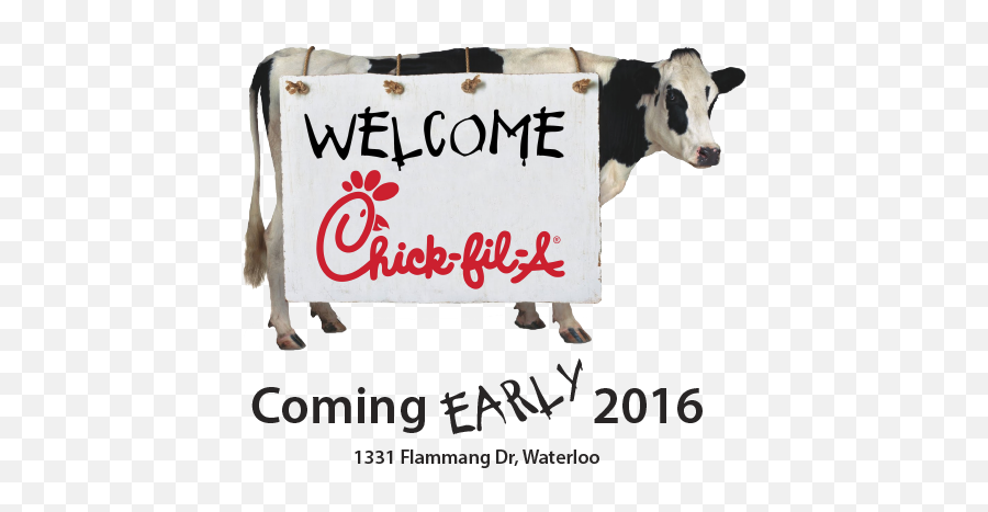 Chick - Fila Coming To Waterloo Ia Lockard Onlinelockard Chick Fil A Cow Easter Png,Chick Fil A Logo Png