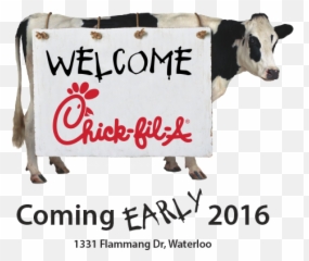 Chick - filA Coming to Waterloo IA Lockard OnlineLockard Fil Cow Easter png