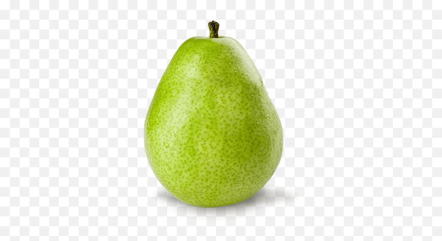 Download Single Pear Png Transparent Image - Organic D Anjou D Anjou Pear Png,Pear Png