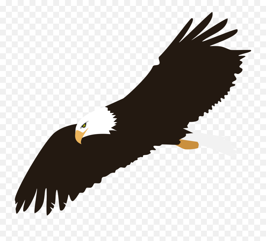 Football Transparent Library Png Files - Eagle Clipart Png,Eagles Logo Vector