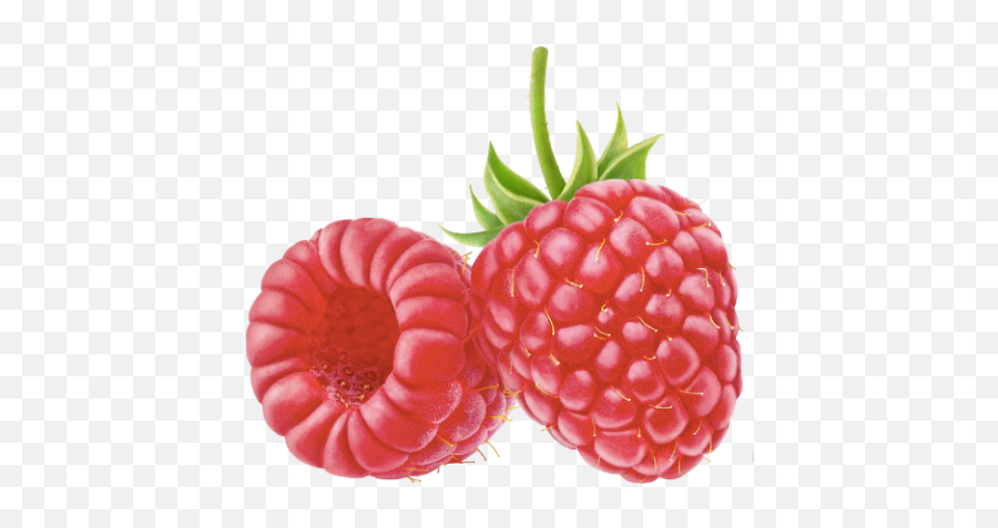 Raspberries Png - Raspberries Cartoon,Raspberries Png